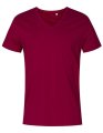 Heren T-shirt Promodoro V-Neck berry